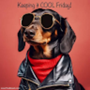 Meet your Posher, Tonia